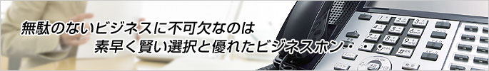 ビジネスホン